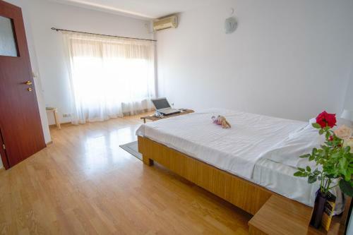 Hostal Pensiunea Anastasia