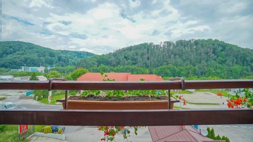 Motel Rolizo Brasov