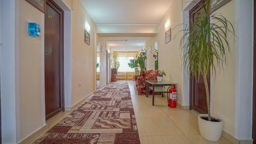 Motel Rolizo Brasov