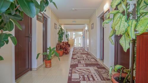 Motel Rolizo Brasov