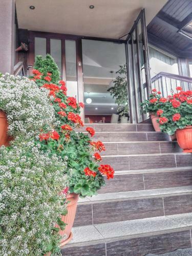 Motel Rolizo Brasov