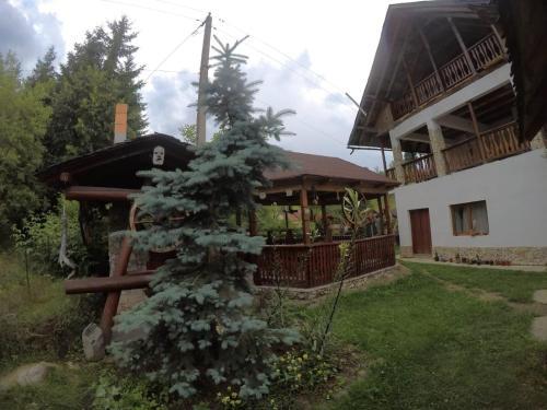 Lodge Casa Sandu