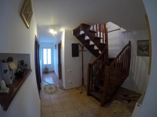 Lodge Casa Sandu