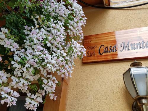 Casa Munte Busteni