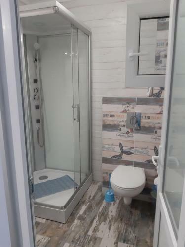 Apartamente Rodica