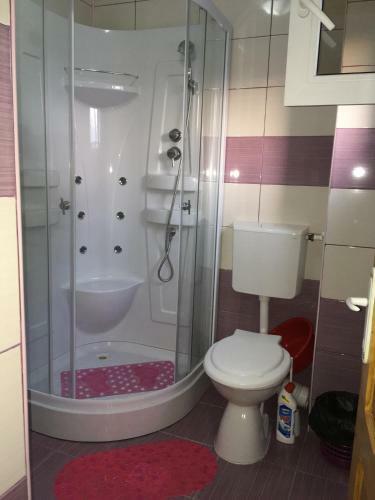 Apartamente Rodica