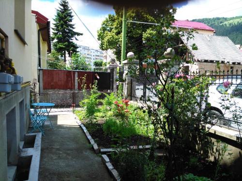 Apartament Nora