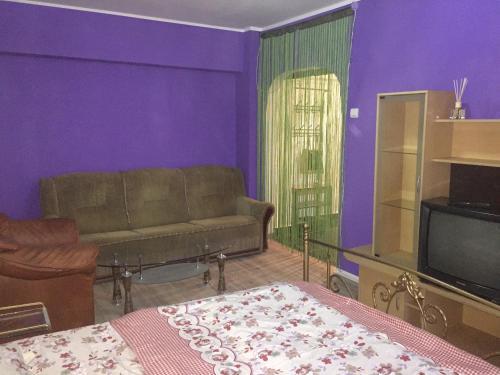Apartamento Salonul Mov