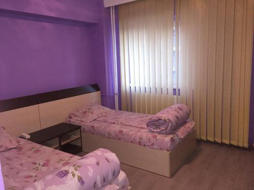 Apartamento Salonul Mov