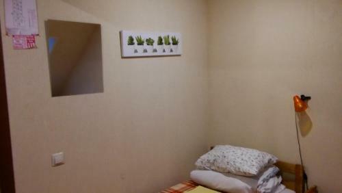Hostel Green Point