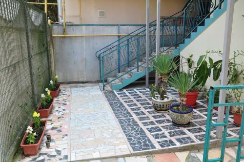 Hostal Guest House Olga