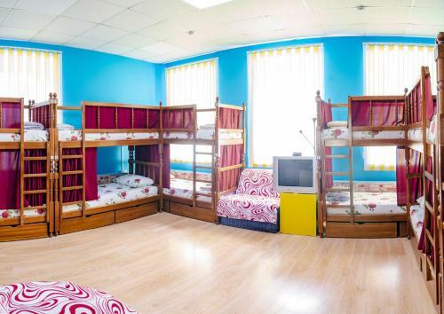Hostel Druzhny