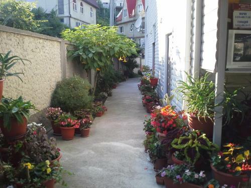 Hostal Guest House Maria
