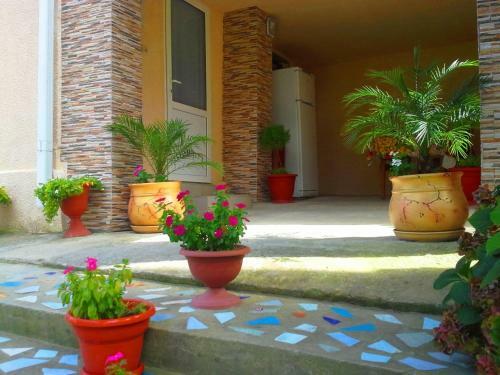 Hostal Aelita Guest House