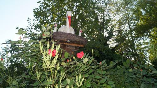 Hostal Aelita Guest House