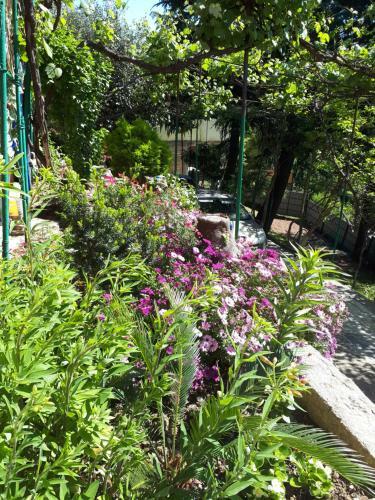 Hostal Aelita Guest House
