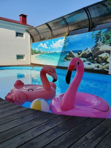 Hostal Guest House Na Mamayke +