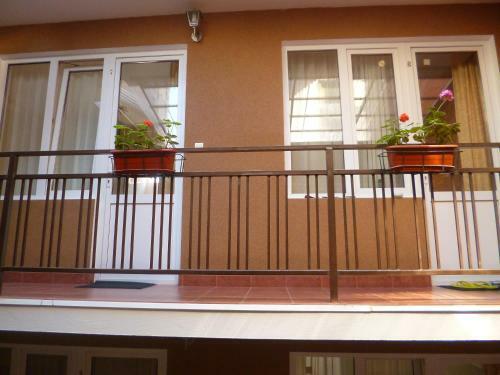 Hostal Amaliya Guest House