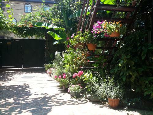 Hostal Guest House Atlantik