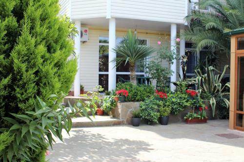 Hostal Guest House Sarissa