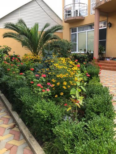 Hostal Aurora Guest House