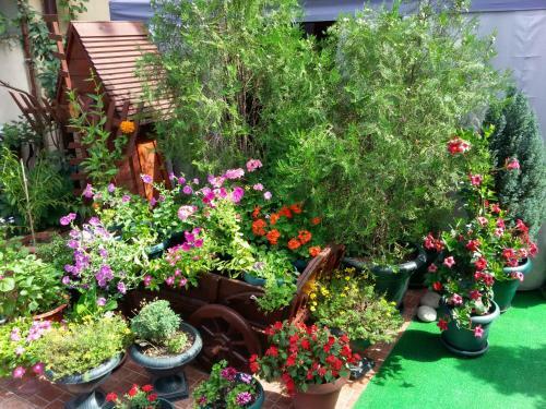 Hostal Adlerok Guest House