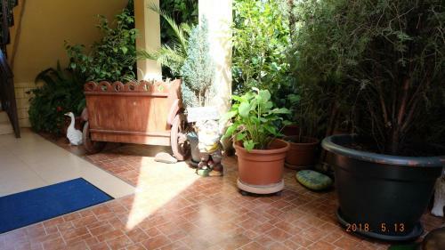 Hostal Adlerok Guest House