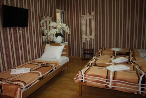 Hostal Guest House Lenina 100