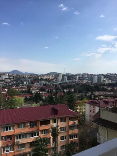 Apartment On Tsiuriupy 70a