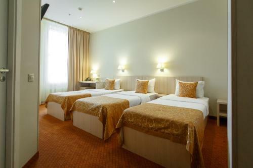 Skypoint Hotel Sheremetyevo Airport