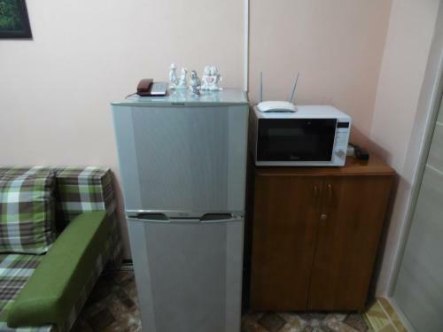 Apartment Centralnye