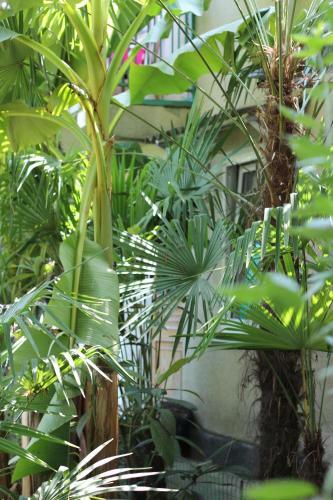 Hostal Bamboo Khutor Guest House