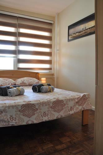 True Color Apartment