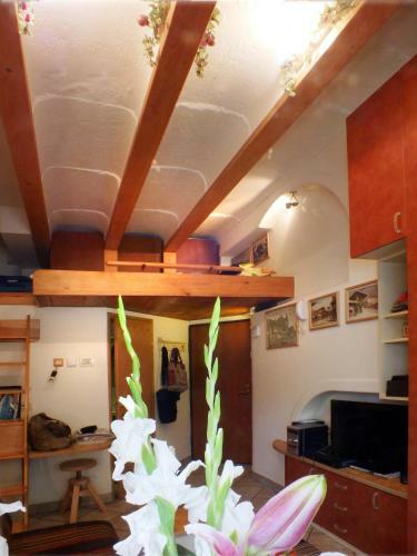 Apartment Jewel