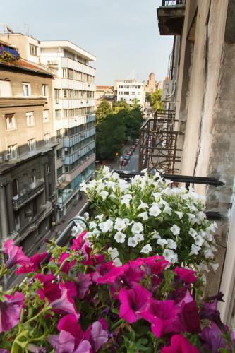 Stay In Apartments