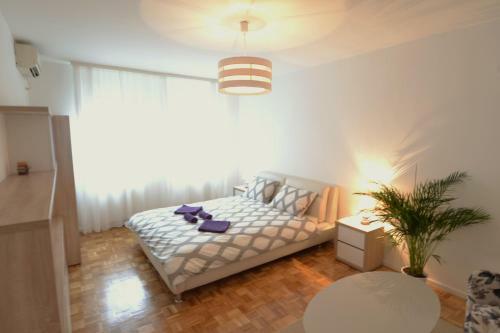 New Belgrade Arena Cozy Apartment
