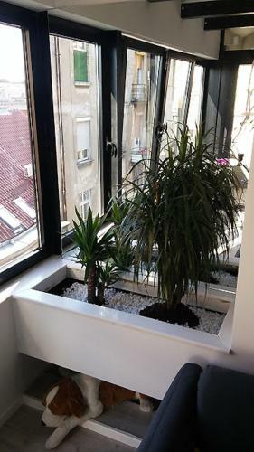 Apartment Savamala Art