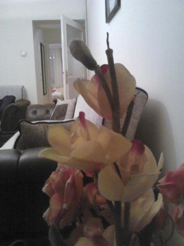 Apartment Slavija
