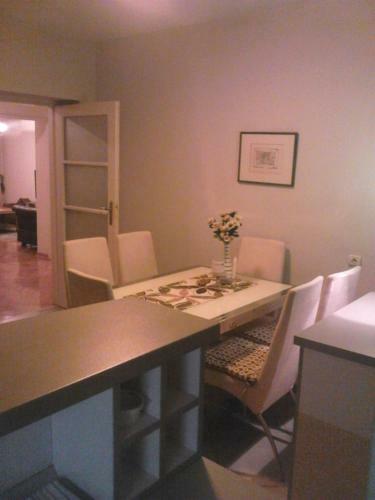 Apartment Slavija