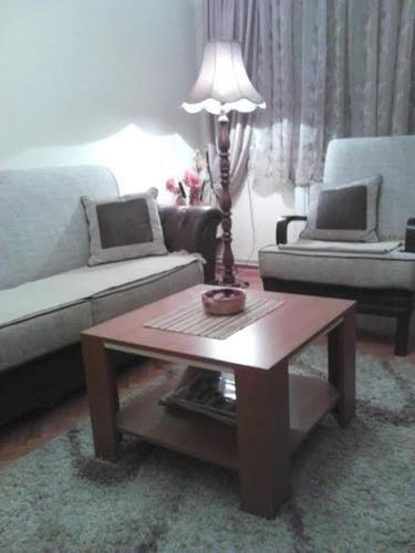 Apartment Slavija