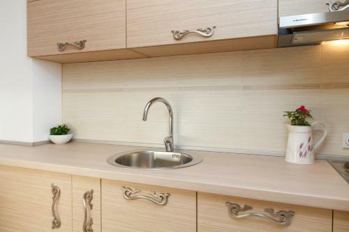 Central Business Apartment