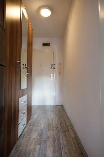 Butterfly Apartment