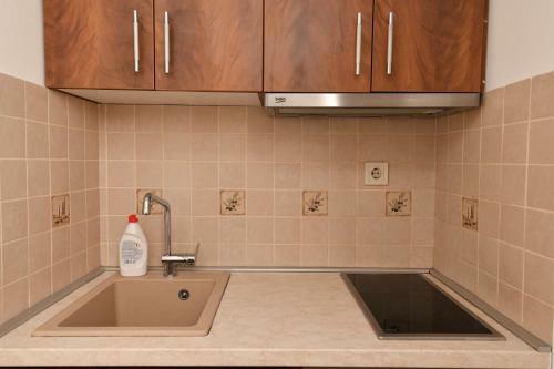Apartment Nikola