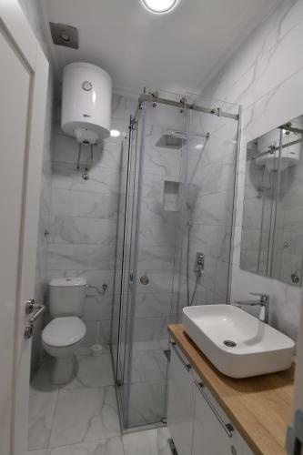 Apartment Nikola