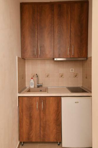 Apartment Nikola