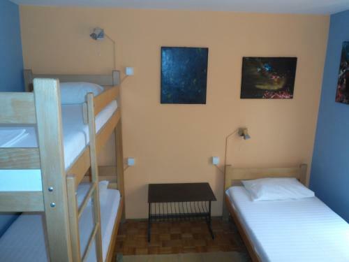 Hostel Rookies