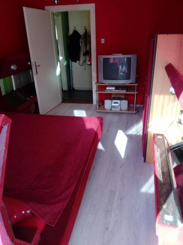 Apartment Sreten