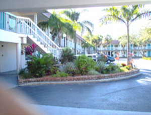 Hotel Super 8 Motel Sarasota