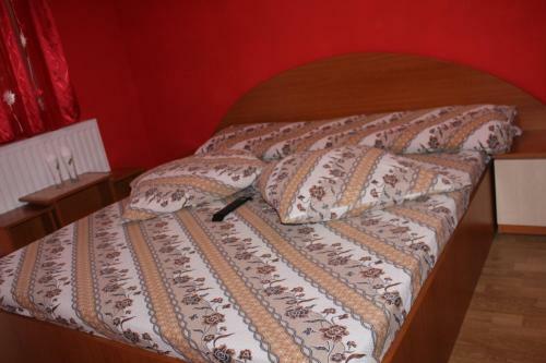 Hostal Pensiunea Anisoara