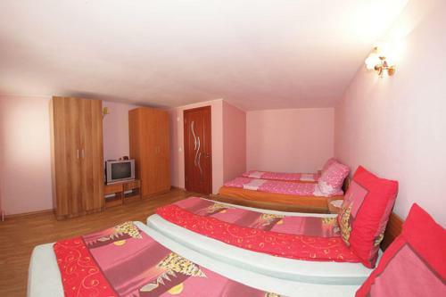 Hostal Pensiunea Anisoara
